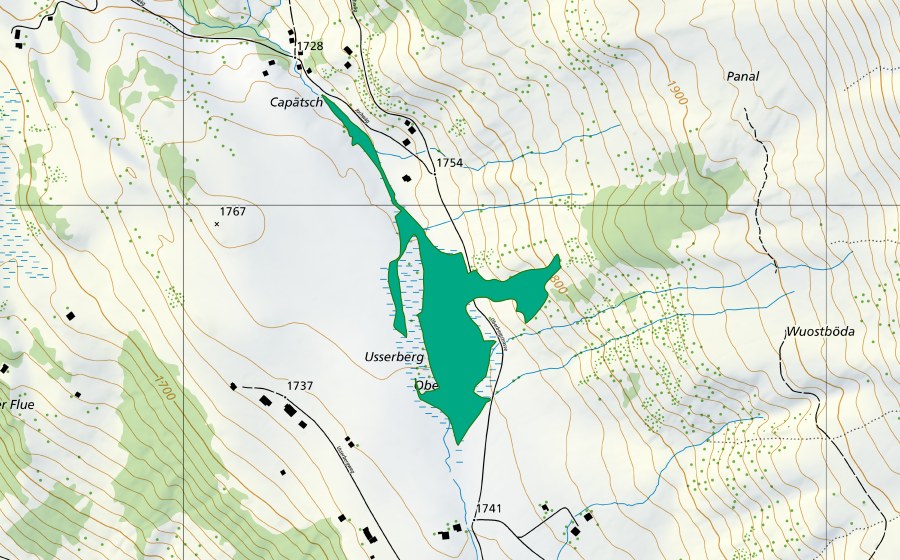 Landeskarte swisstopo mit dem Schutzperimeter von Usserberg (Flachmoor)