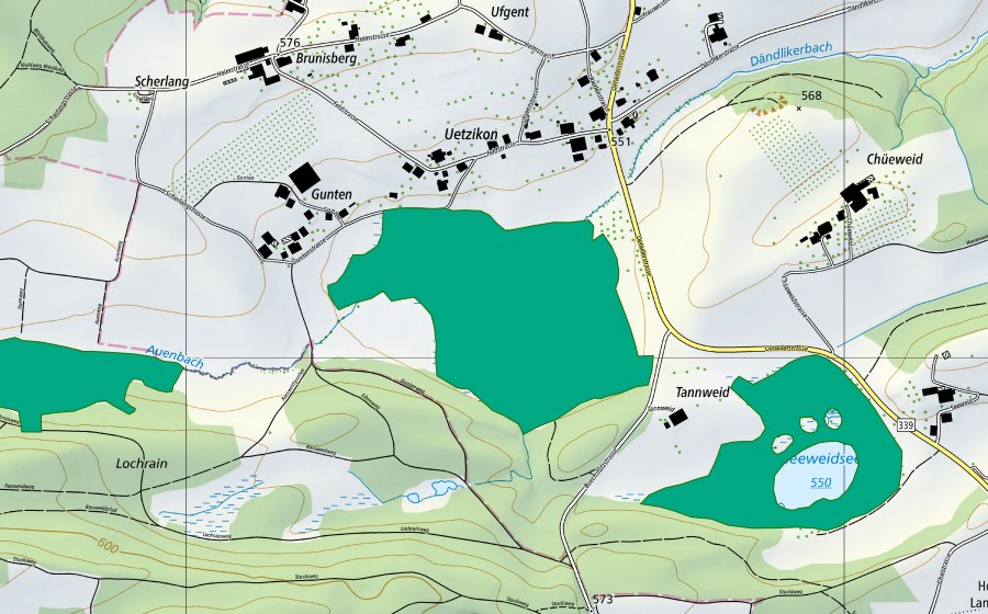 Landeskarte swisstopo mit dem Schutzperimeter von Ütziker Riet (Flachmoor)