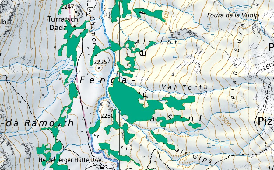 swisstopo national map showing the protected perimeter of Val Fenga Ost (Fen)
