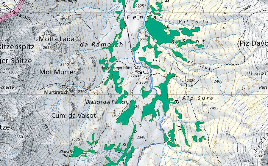 Carte nationale swisstopo avec le périmètre protégé de Val Fenga West (Bas-marais)