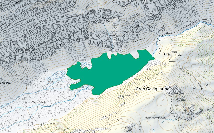 swisstopo national map showing the protected perimeter of Val Frisal (Fen)