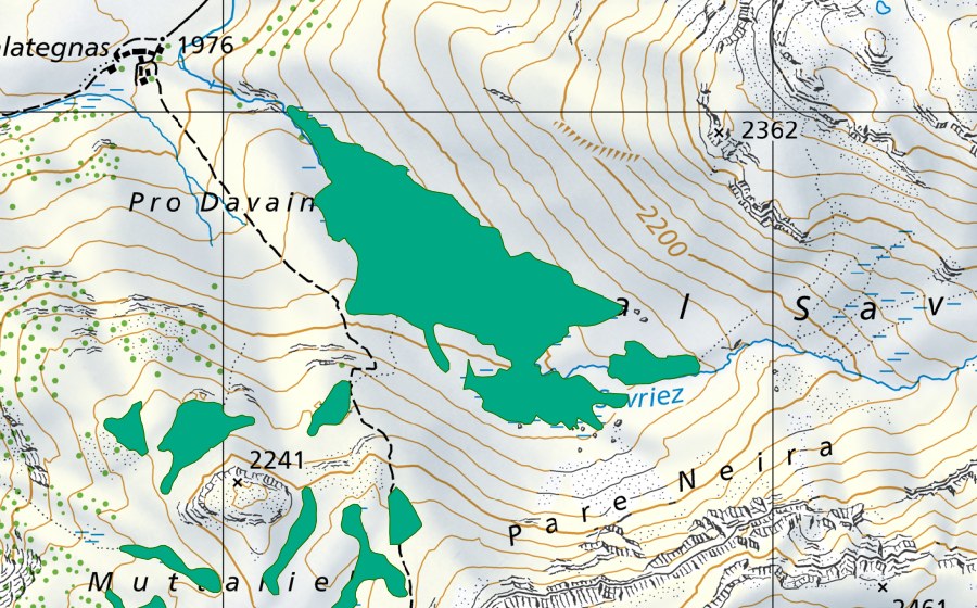Carte nationale swisstopo avec le périmètre protégé de Val Savriez (Bas-marais)