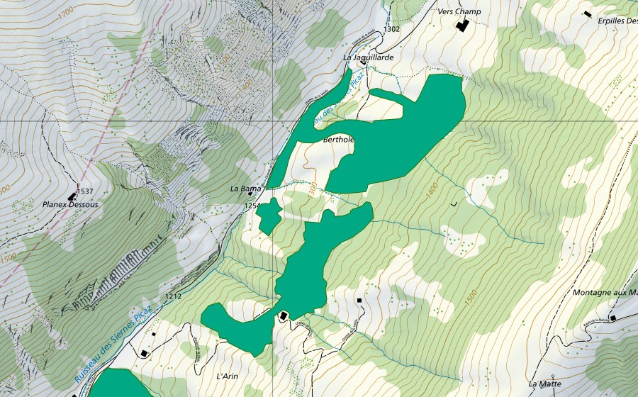 Carte nationale swisstopo avec le périmètre protégé de Vers Champ (Bas-marais)