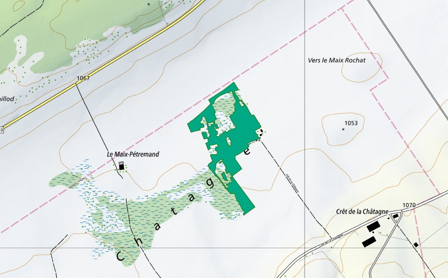 Landeskarte swisstopo mit dem Schutzperimeter von Vers le Maix Rochat (Flachmoor)