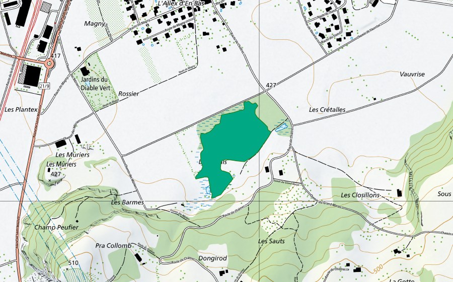 Landeskarte swisstopo mit dem Schutzperimeter von Vers le Marais (Flachmoor)