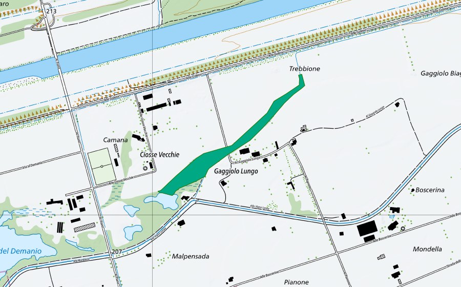 Landeskarte swisstopo mit dem Schutzperimeter von Vigna Lunga-Trebbione (Flachmoor)
