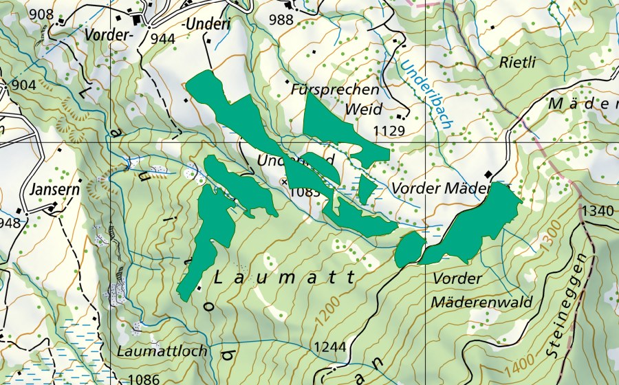 Carte nationale swisstopo avec le périmètre protégé de Vord. Mäderen (Bas-marais)