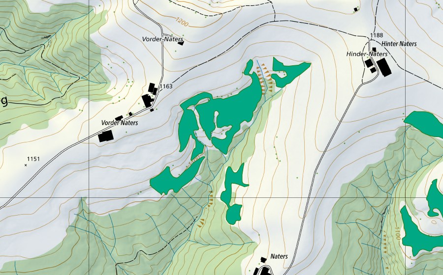 Carte nationale swisstopo avec le périmètre protégé de Vorder Naters (Bas-marais)