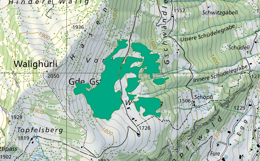 Landeskarte swisstopo mit dem Schutzperimeter von Vordere Walig (Flachmoor)