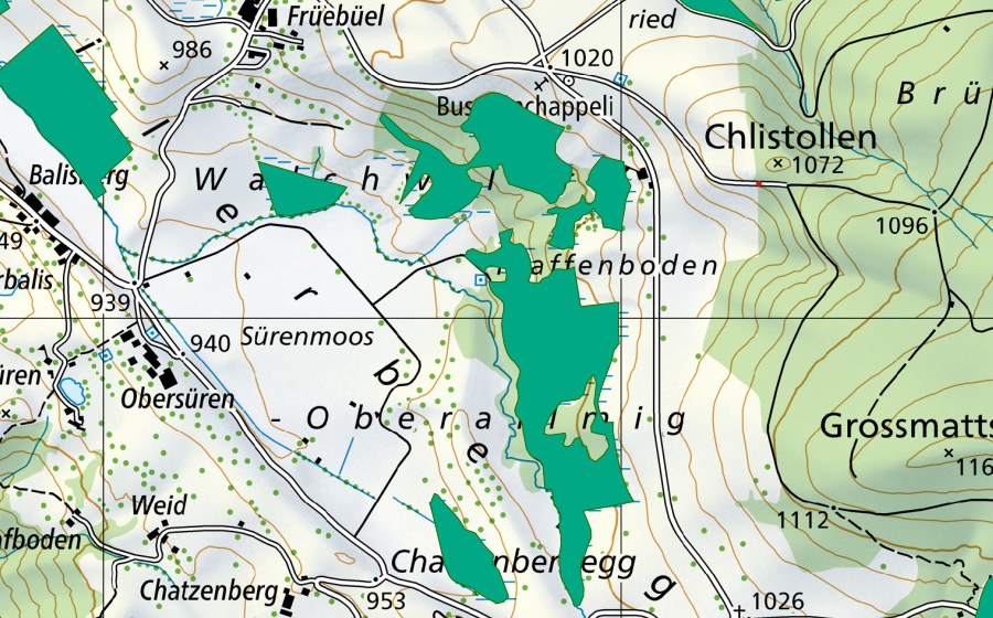 Landeskarte swisstopo mit dem Schutzperimeter von Walchwiler Oberallmig (Flachmoor)