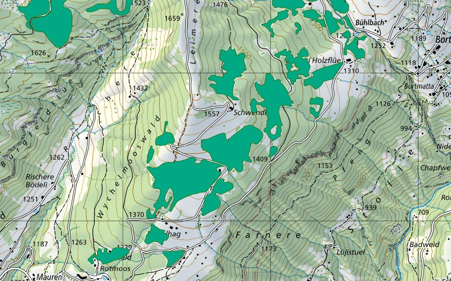 Carta nazionale swisstopo con il perimetro protetto di Waldeggallmi (Torbiera bassa)