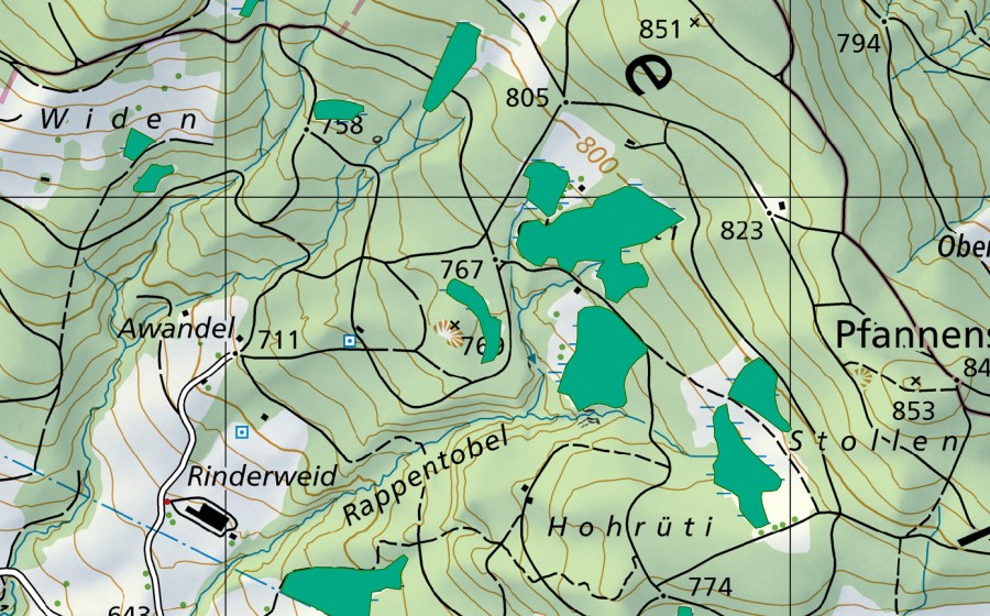 Landeskarte swisstopo mit dem Schutzperimeter von Waldriede am Pfannenstiel (Flachmoor)