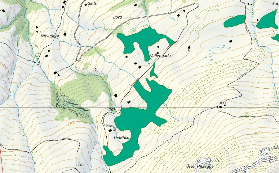 swisstopo national map showing the protected perimeter of Wallengaden (Fen)