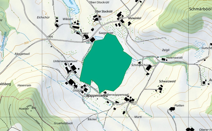 Landeskarte swisstopo mit dem Schutzperimeter von Wappenswiler Riet (Flachmoor)