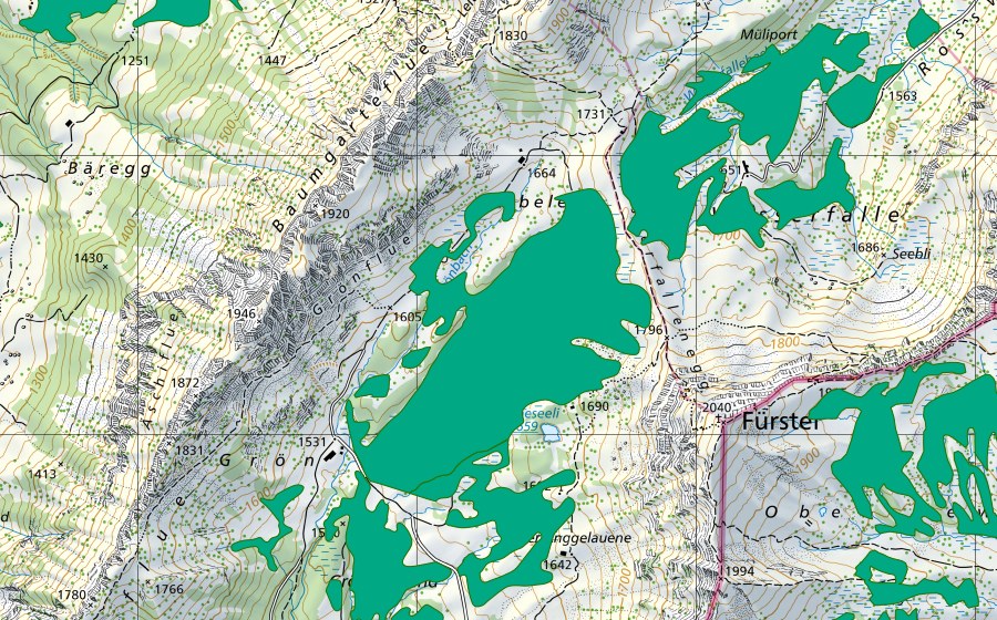 Carte nationale swisstopo avec le périmètre protégé de Wasserfallenegg/Grön (Bas-marais)