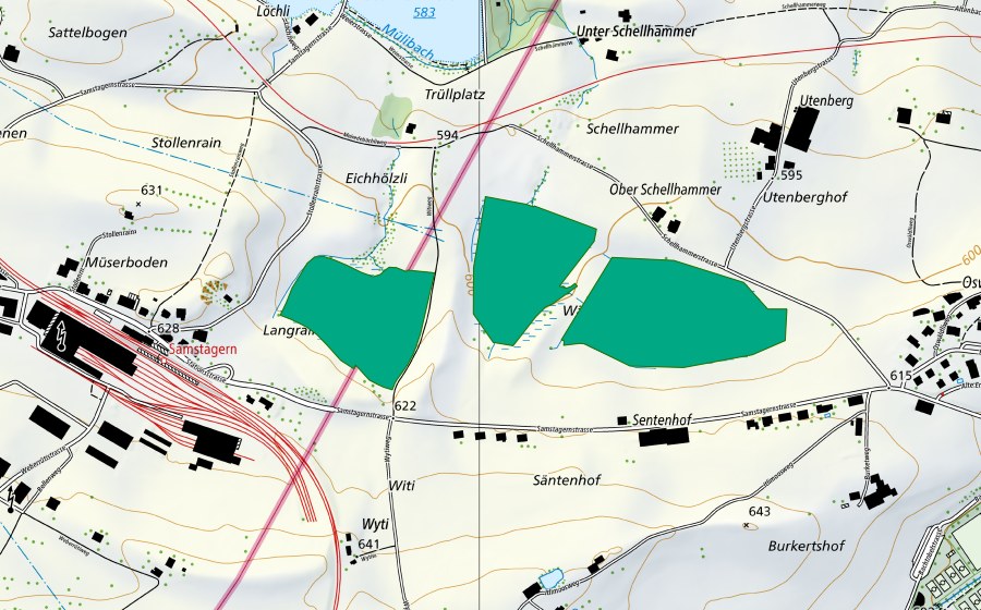 Carte nationale swisstopo avec le périmètre protégé de Weberzopf (Bas-marais)