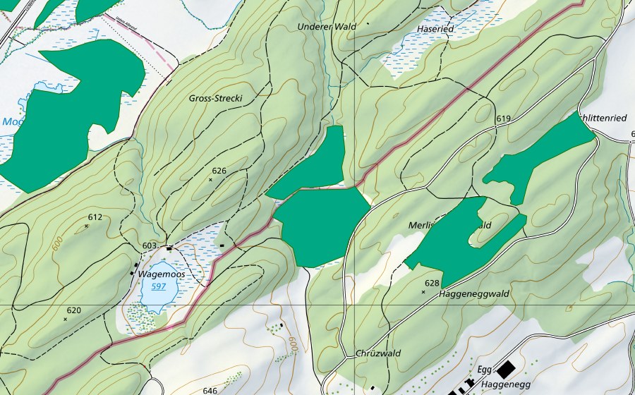 swisstopo national map showing the protected perimeter of Weiherried (Fen)