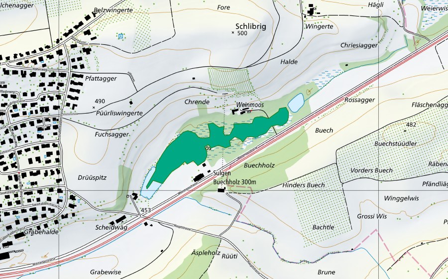 Carta nazionale swisstopo con il perimetro protetto di Weinmoos (Torbiera bassa)