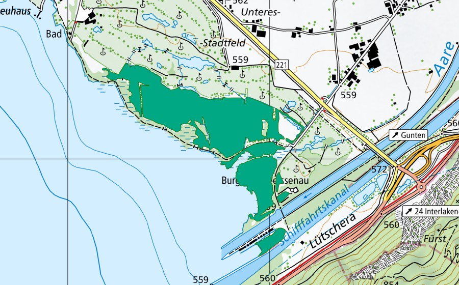 Carte nationale swisstopo avec le périmètre protégé de Weissenau (Bas-marais)