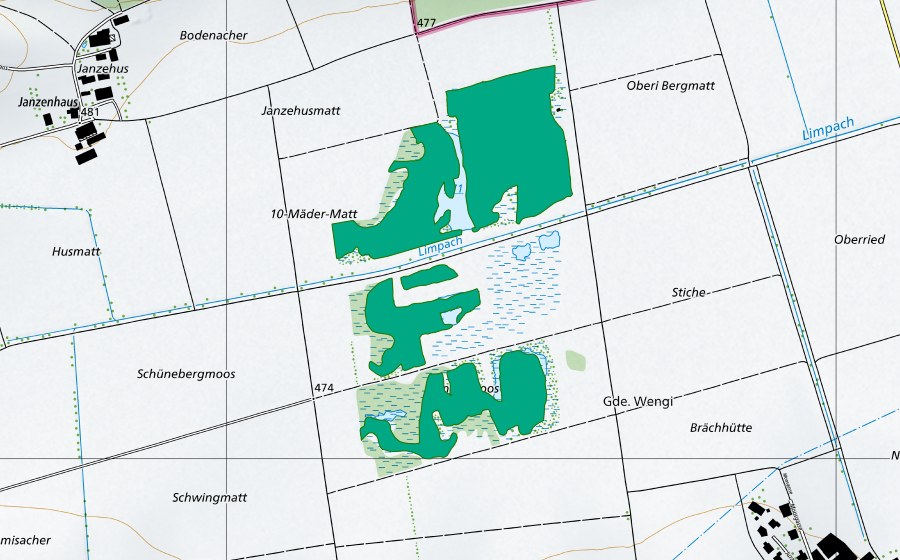 Carte nationale swisstopo avec le périmètre protégé de Wengi Moos (Bas-marais)