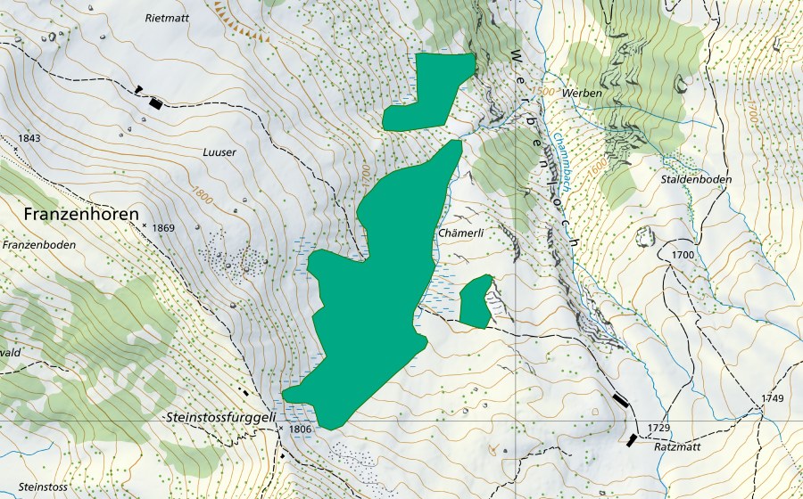 Carte nationale swisstopo avec le périmètre protégé de Werbenrüsli (Bas-marais)