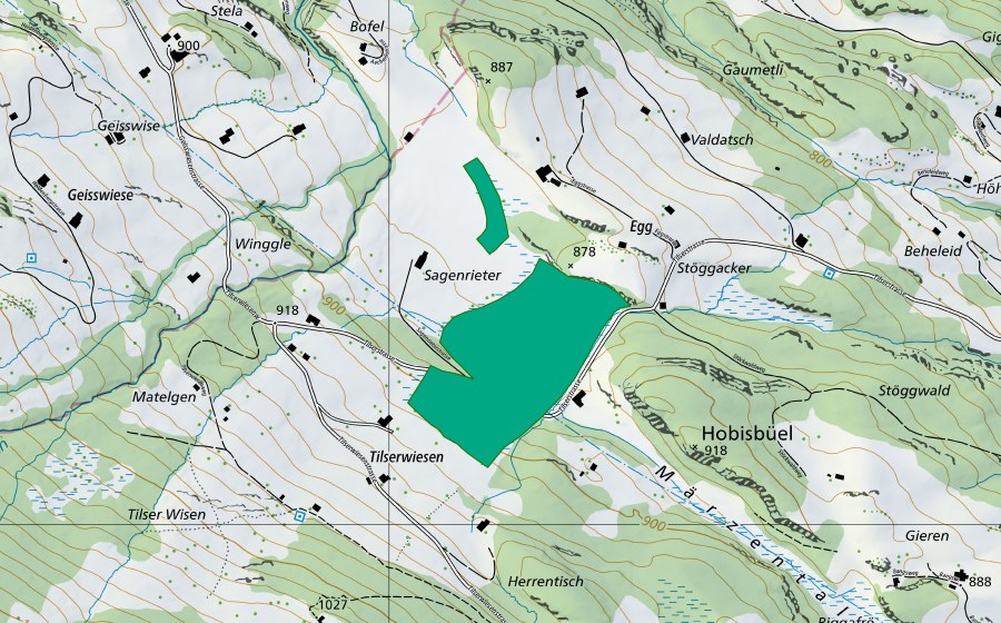 Carte nationale swisstopo avec le périmètre protégé de Westlich Hobisbüel (Bas-marais)