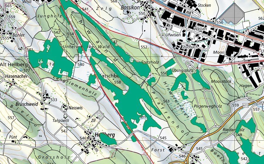 Landeskarte swisstopo mit dem Schutzperimeter von Wetziker Riet/Oberhöfler Riet/Schwändi/Hiwiler Riet (Flachmoor)