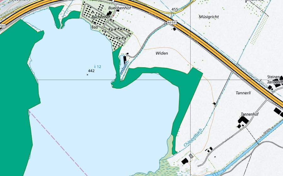 swisstopo national map showing the protected perimeter of Widen (Fen)