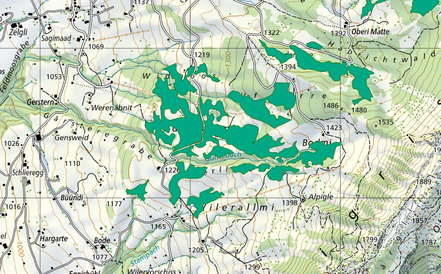 Carta nazionale swisstopo con il perimetro protetto di Widmoos/Endorfallmi (Torbiera bassa)