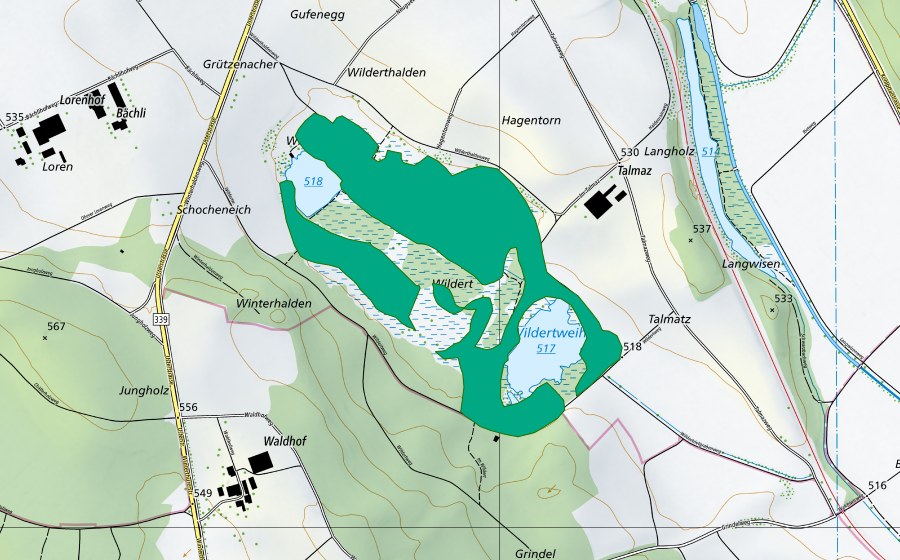 swisstopo national map showing the protected perimeter of Wildert (Fen)