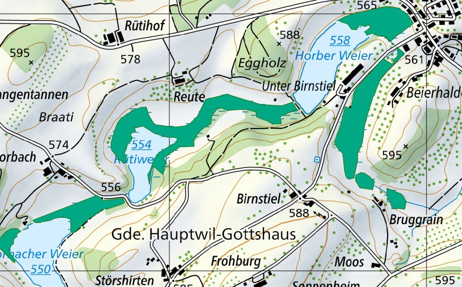 Landeskarte swisstopo mit dem Schutzperimeter von Wilener Moos/Hauptwiler Weiher (Flachmoor)