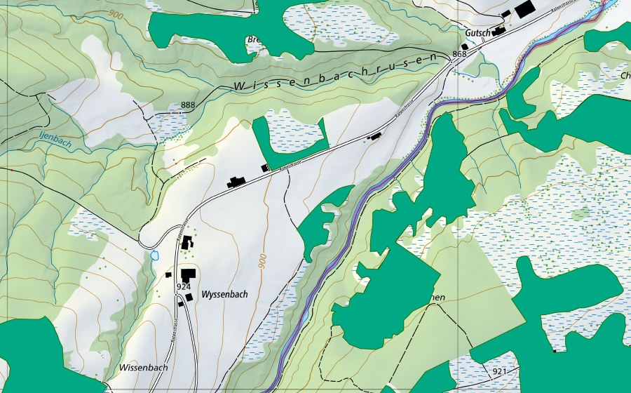 Landeskarte swisstopo mit dem Schutzperimeter von Wissenbach (Flachmoor)