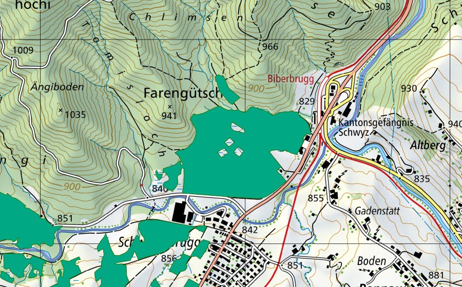 Landeskarte swisstopo mit dem Schutzperimeter von Witi (Flachmoor)
