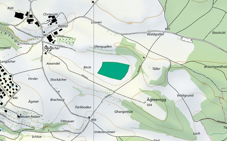 Landeskarte swisstopo mit dem Schutzperimeter von Wollwisli (Flachmoor)