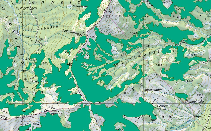 swisstopo national map showing the protected perimeter of Wüest Wald (Fen)