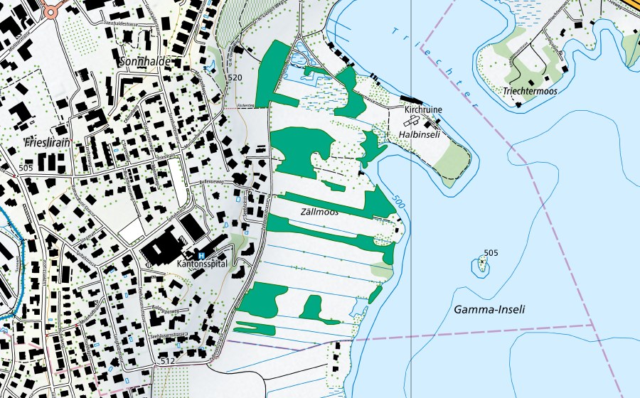 swisstopo national map showing the protected perimeter of Zällmoos (Fen)