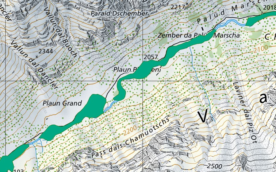 Carte nationale swisstopo avec le périmètre protégé de Zember da Palüd Marscha (Bas-marais)