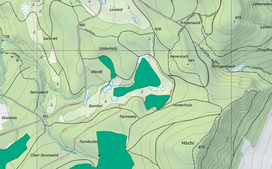 Landeskarte swisstopo mit dem Schutzperimeter von Zisetsriet (Flachmoor)