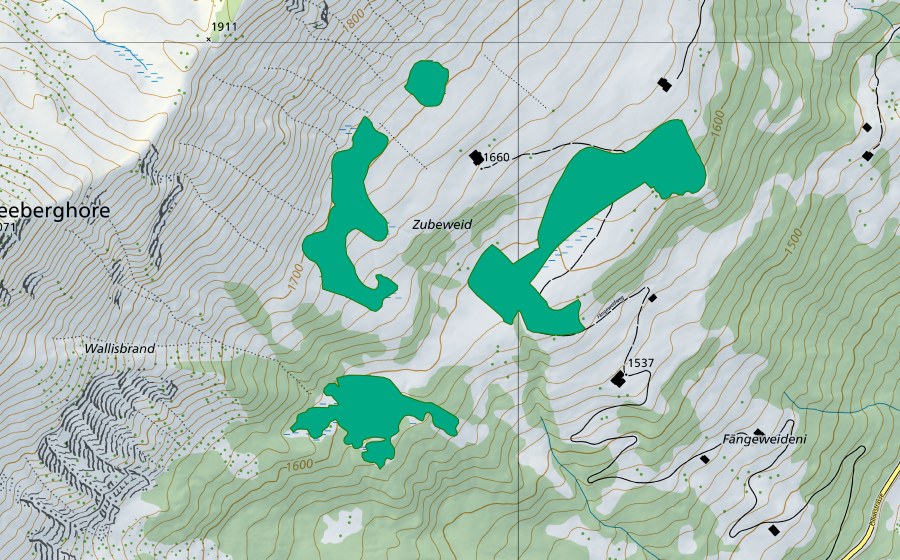 swisstopo national map showing the protected perimeter of Zubenweid (Fen)