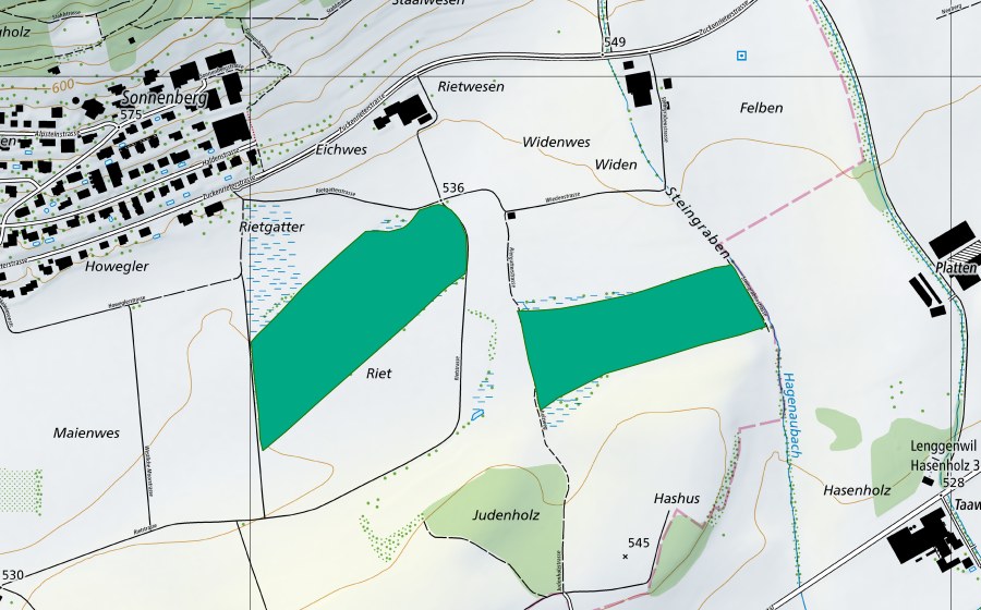 Carte nationale swisstopo avec le périmètre protégé de Zuzwiler Riet (Bas-marais)