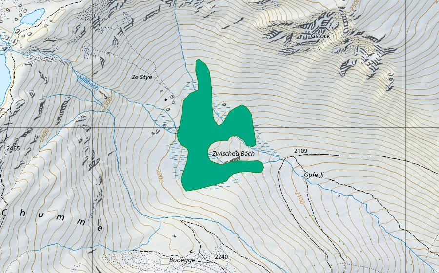 swisstopo national map showing the protected perimeter of Zwisched Bäch (Fen)