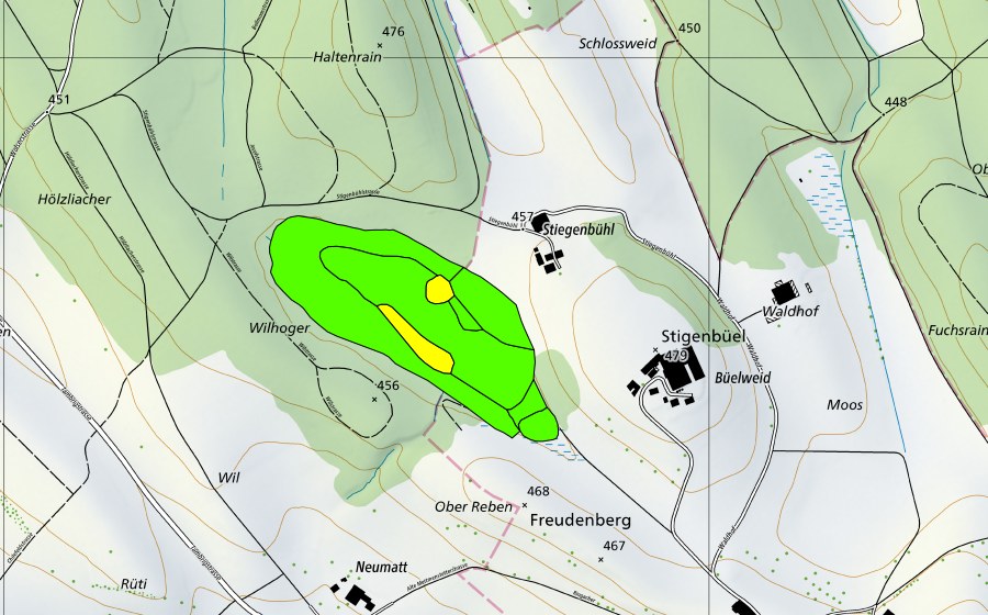 Carte nationale swisstopo avec le périmètre protégé de Aegelsee (Haut-marais)