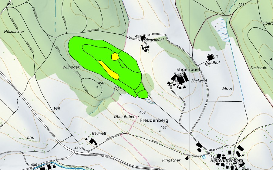 Carte nationale swisstopo avec le périmètre protégé de Aegelsee (Haut-marais)