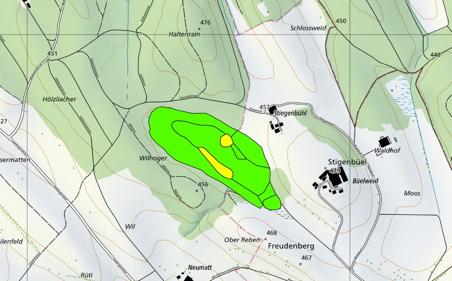 Carte nationale swisstopo avec le périmètre protégé de Aegelsee (Haut-marais)