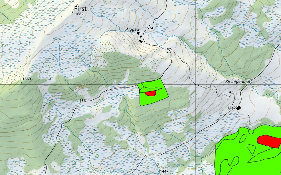 swisstopo national map showing the protected perimeter of Aelggäu (Raised bog)