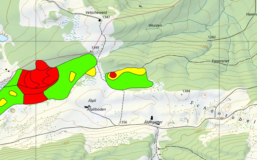 Landeskarte swisstopo mit dem Schutzperimeter von Aelpli/Eggenriet (Hochmoor)