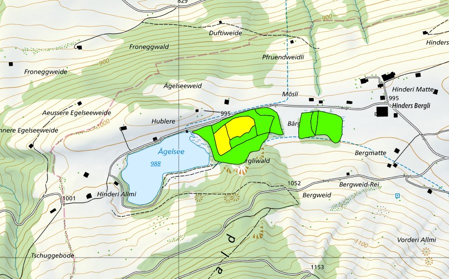 Carte nationale swisstopo avec le périmètre protégé de Ägelsee-Moor auf dem Diemtigbergli (Haut-marais)
