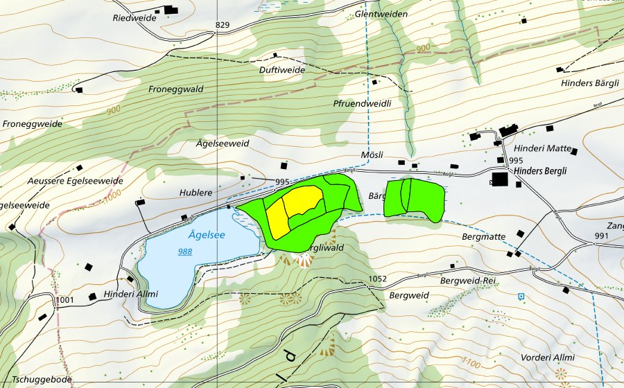 Carte nationale swisstopo avec le périmètre protégé de Ägelsee-Moor auf dem Diemtigbergli (Haut-marais)
