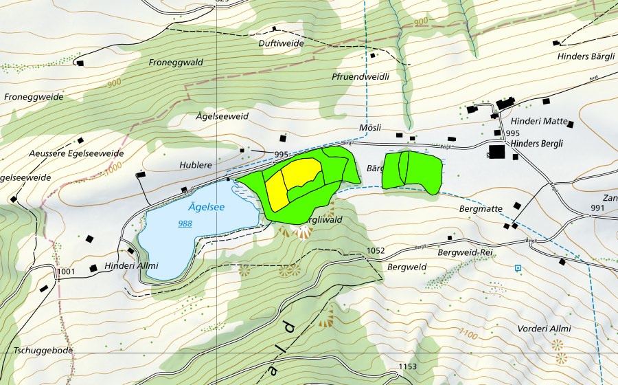 Carta nazionale swisstopo con il perimetro protetto di Ägelsee-Moor auf dem Diemtigbergli (Torbiera alta)
