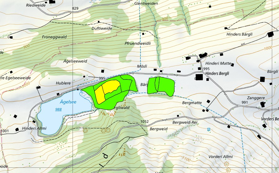 Landeskarte swisstopo mit dem Schutzperimeter von Ägelsee-Moor auf dem Diemtigbergli (Hochmoor)